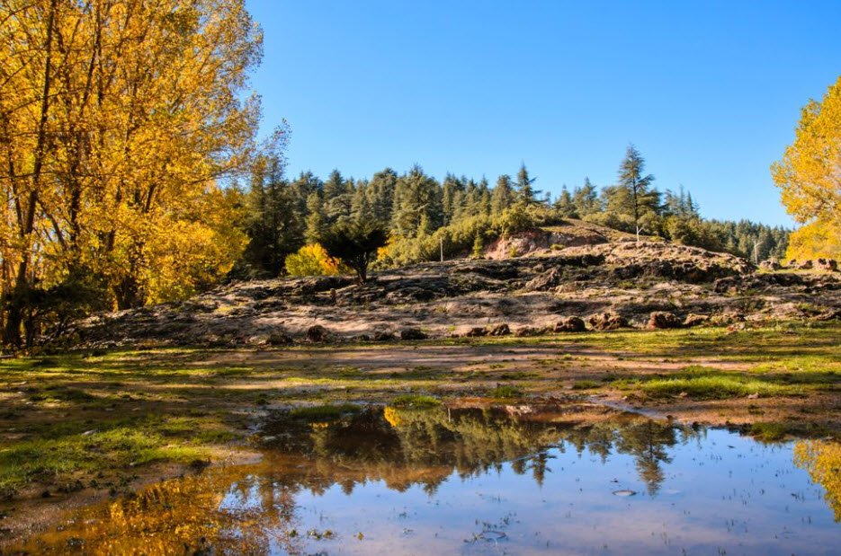 Ifrane National Park, Ifrane, Fès-Meknès, Morocco